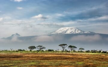 M-Pesa el original sistema de pagos por móvil africano