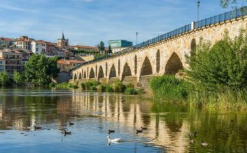 Cambio de moneda en Zamora
