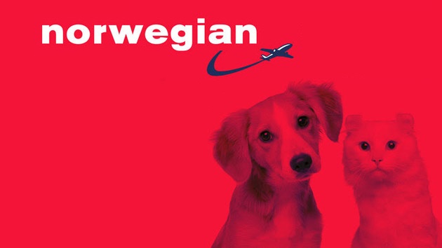 norwegian volar con mascotas